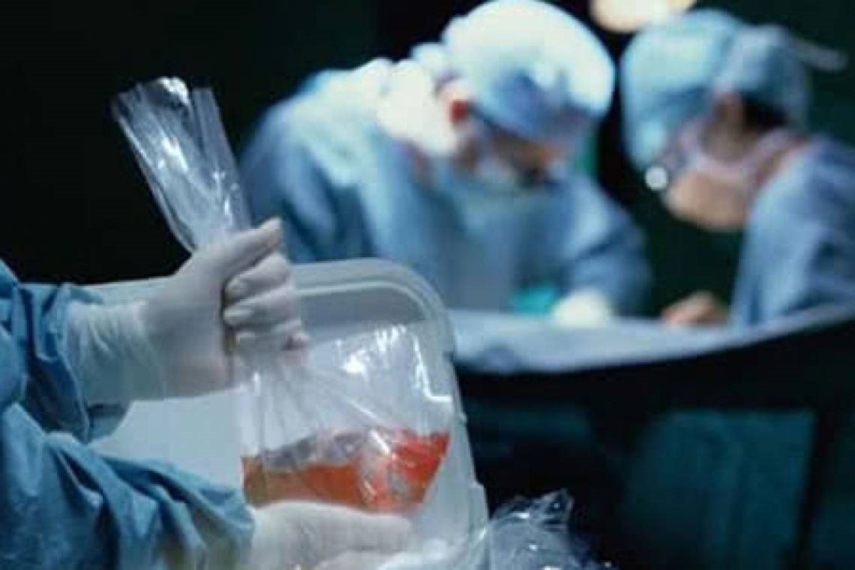 Трансплантации органов: Зеленский озаботился данной проблемой