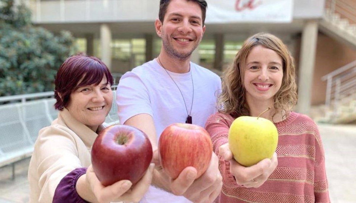Ученые: Чтобы иметь здоровое сердце, ешьте яблоки, желательно красные