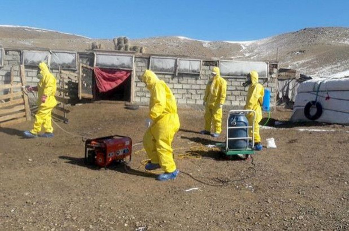 В Монголии зафиксировали еще одну смерть от бубонной чумы