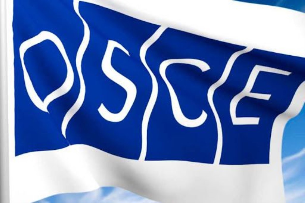 Российская делегация устроила демарш в ОБСЕ