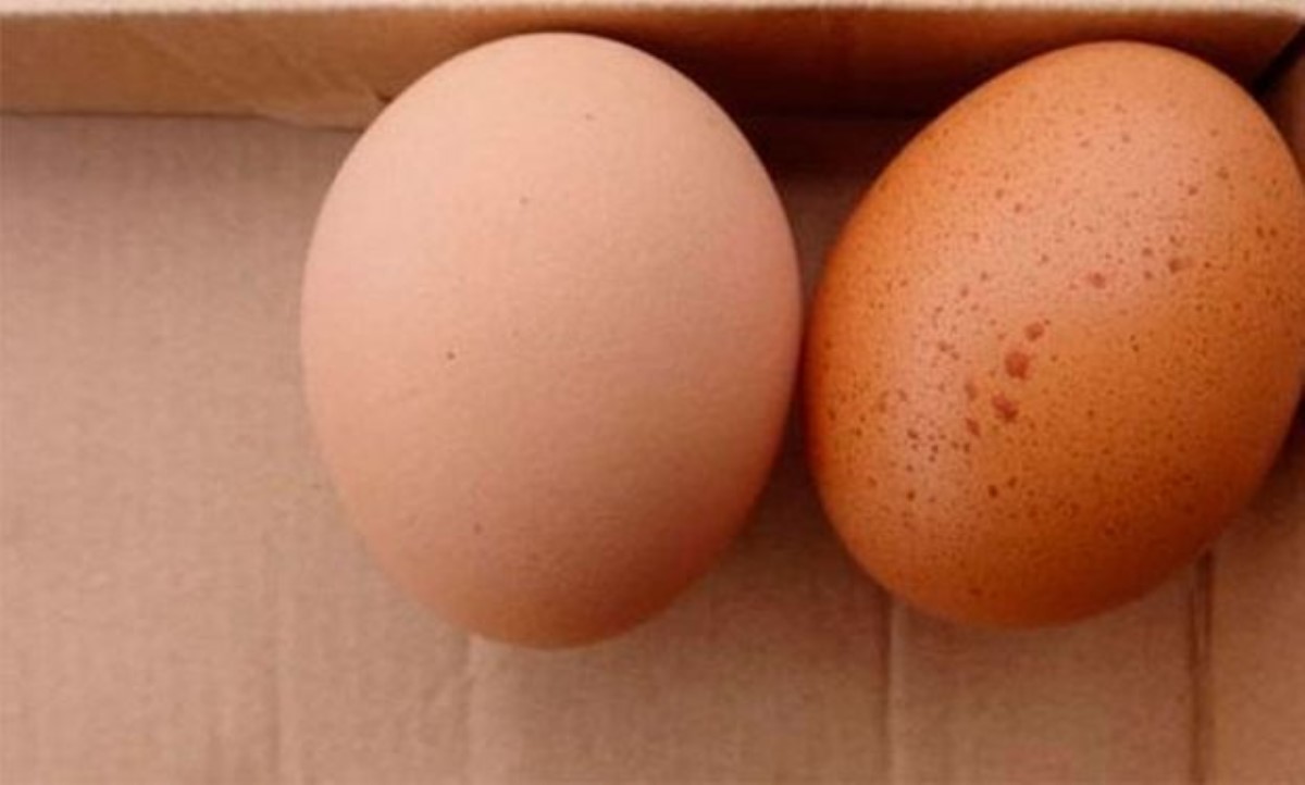 Просто пятнышки: какие яйца в магазине вызывают подозрения