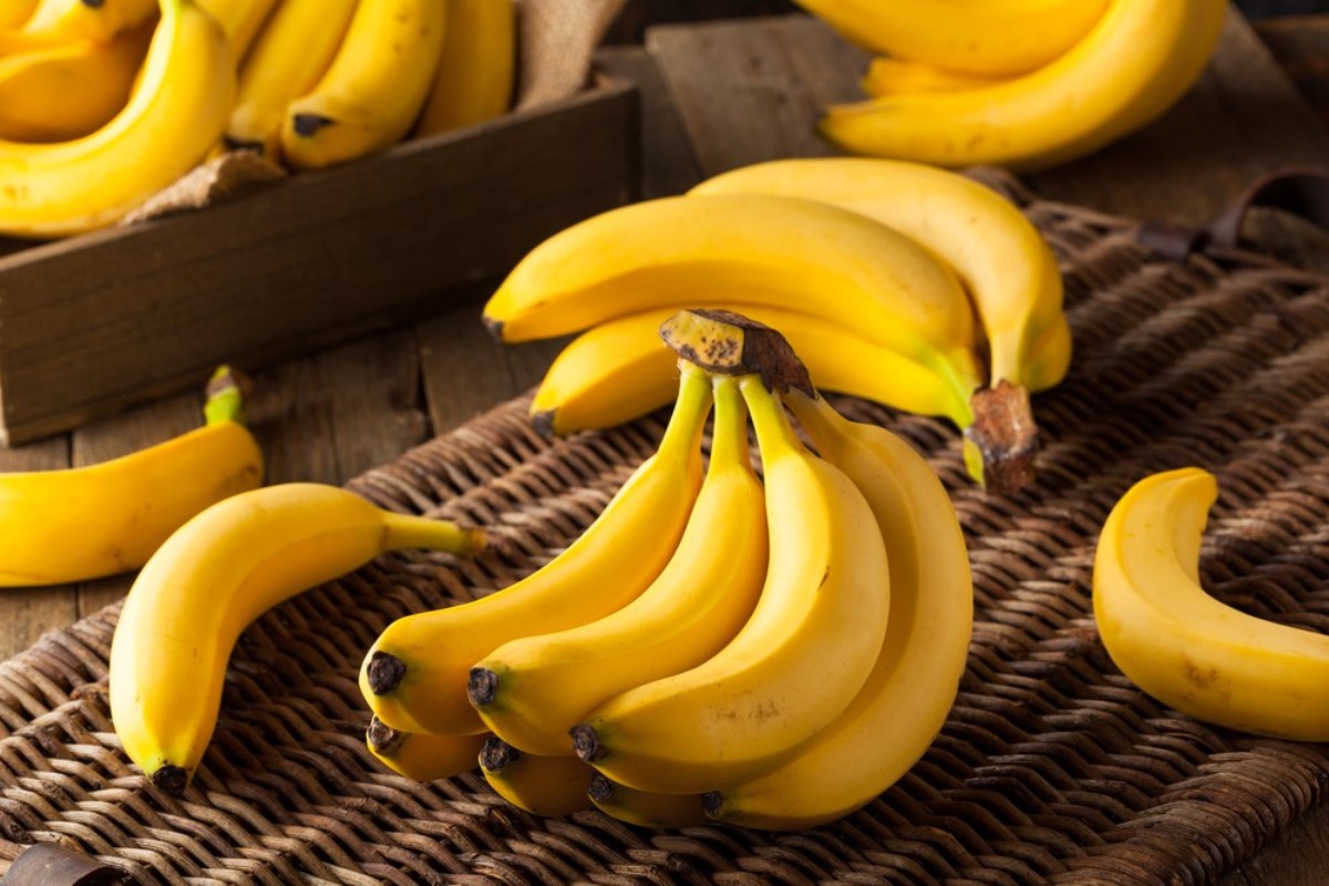 Диетологи рассказали о преимуществах, которые получает организм при употреблении бананов