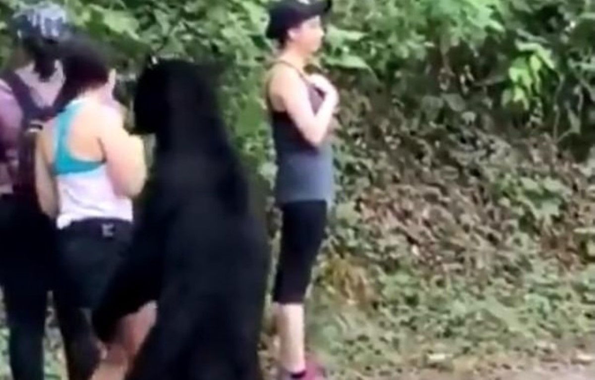 Смелая туристка делала фото, пока её обнюхивал дикий медведь