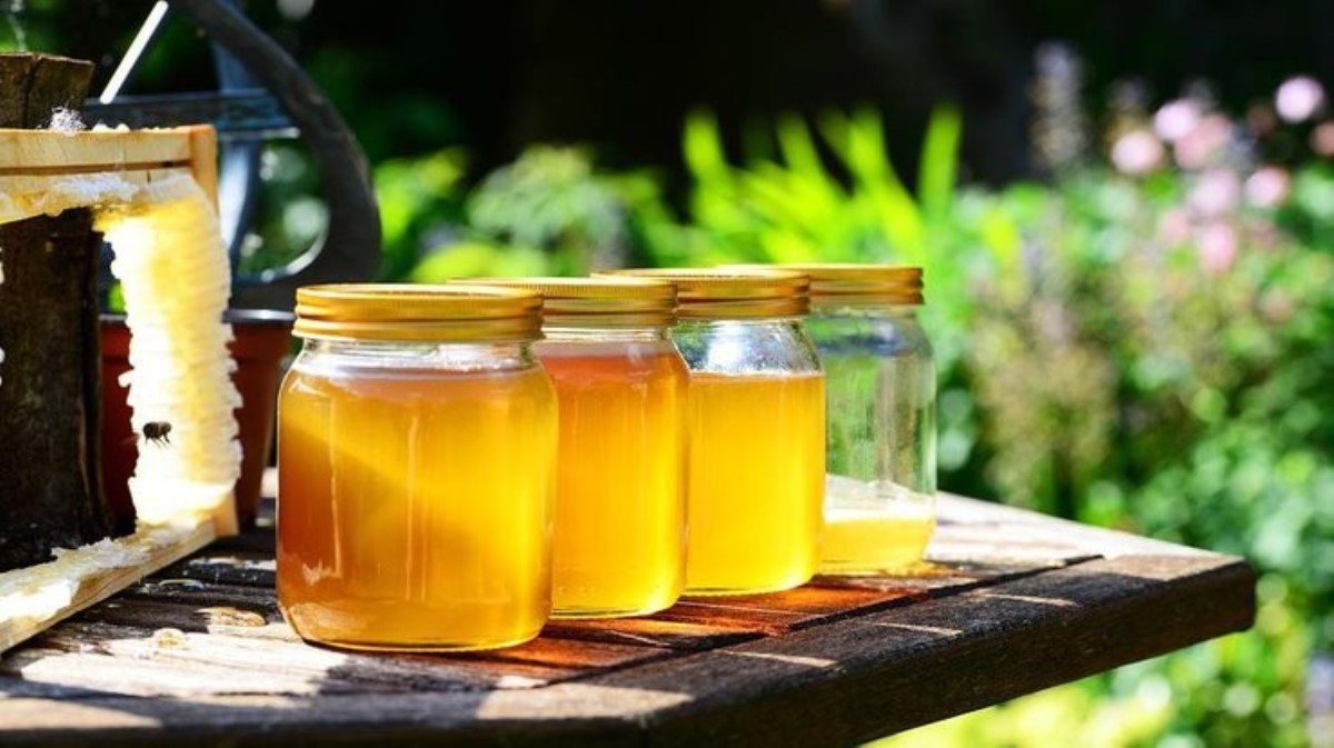 Можно есть и не бояться: назван самый полезный мед для диабетиков