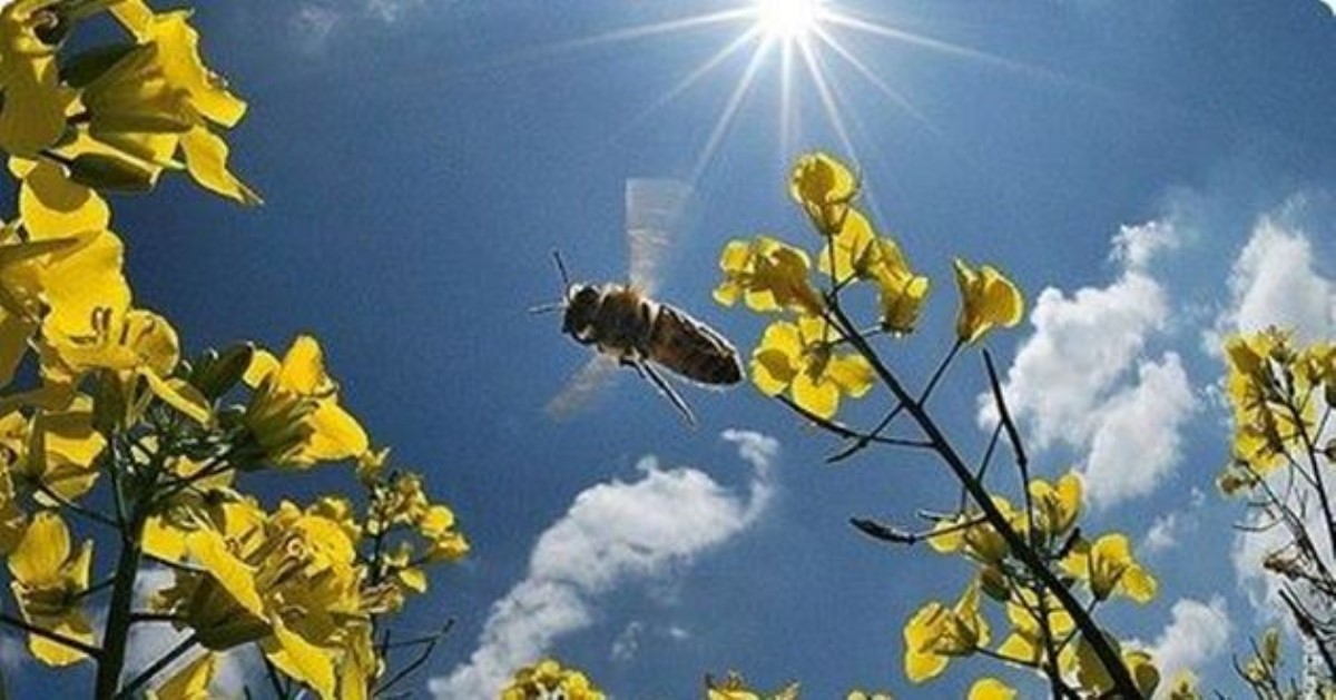 Тепло возвращается: синоптики дали прогноз на 28 июля