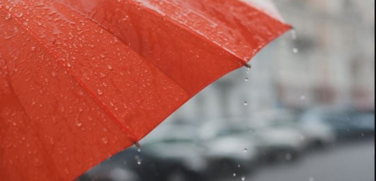Жару потеснят дождь и холод: синоптики дали прогноз до 31 июля