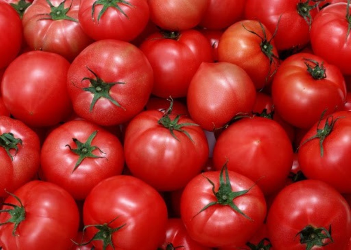 В Украине начали дорожать помидоры