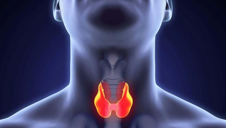 Чтоб щитовидка была здоровой: медики назвали полезные и вредные продукты
