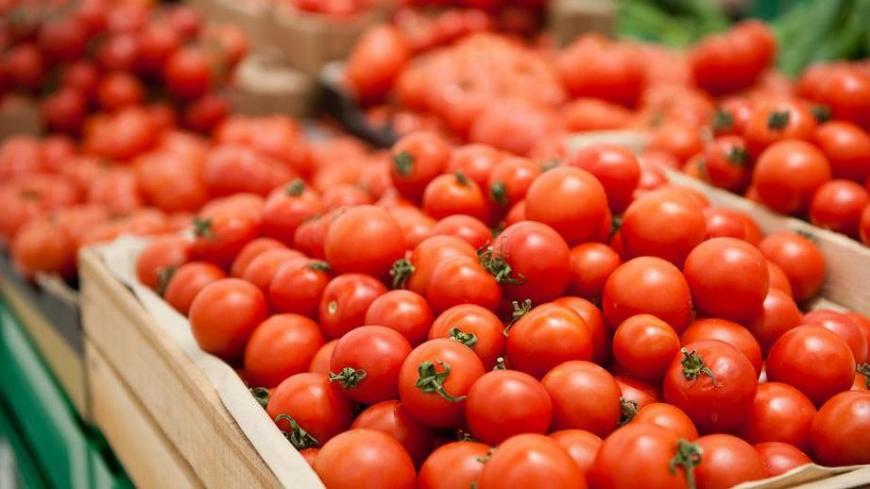 Цены на помидоры в Украине: названа новая стоимость