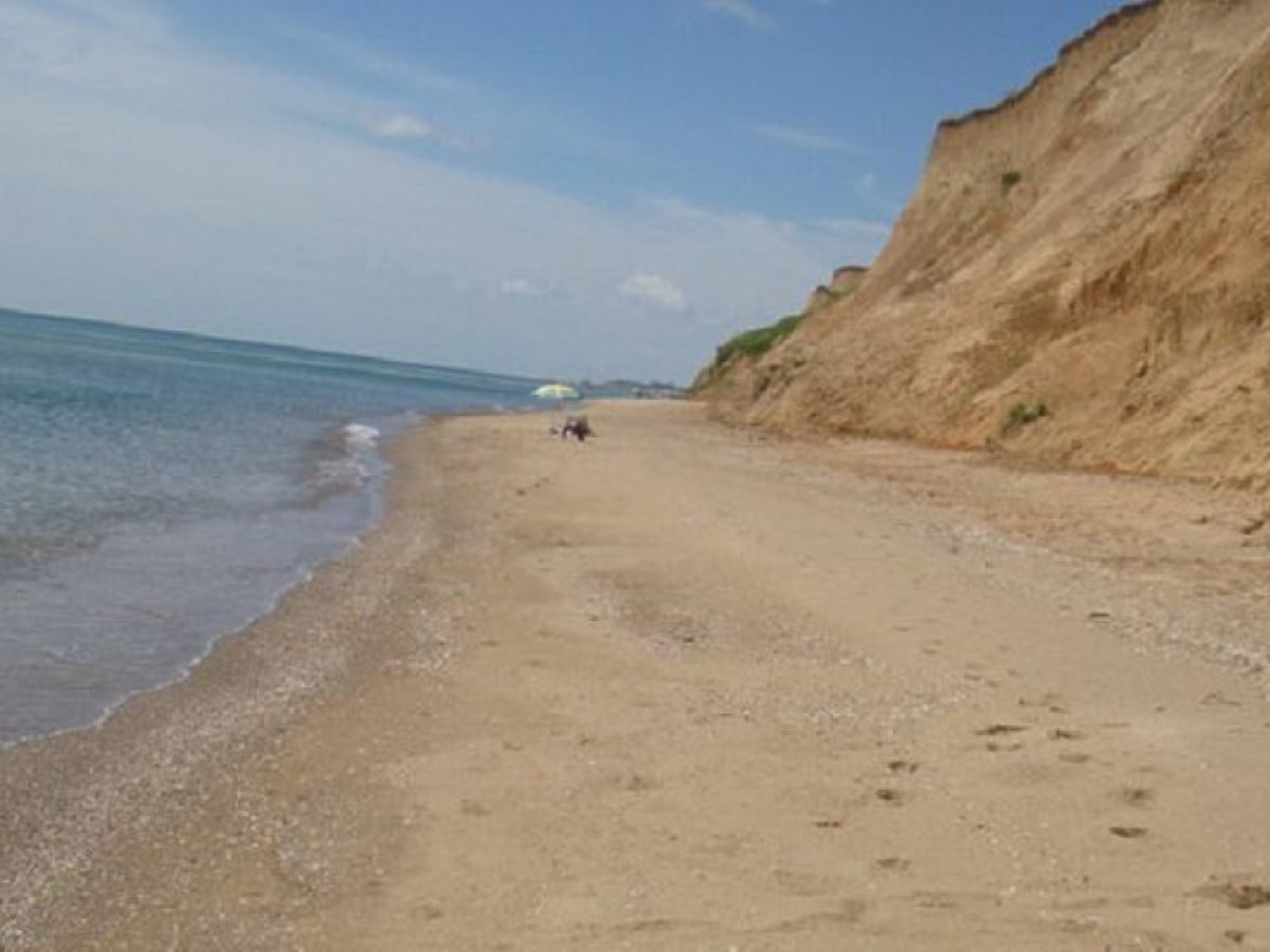 На пляже обнаружили останки неизвестного существа с ластами и мехом