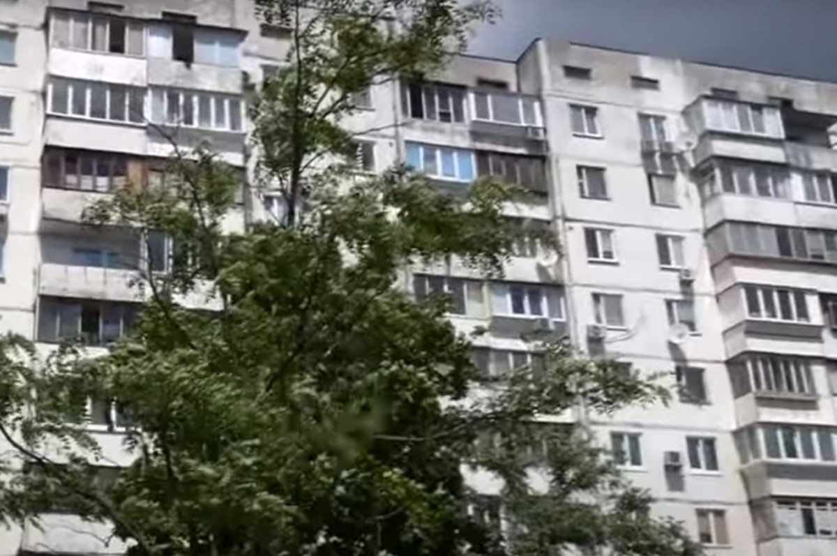 В Киеве живодер выбросил кота с пятого этажа, животное скончалось в муках