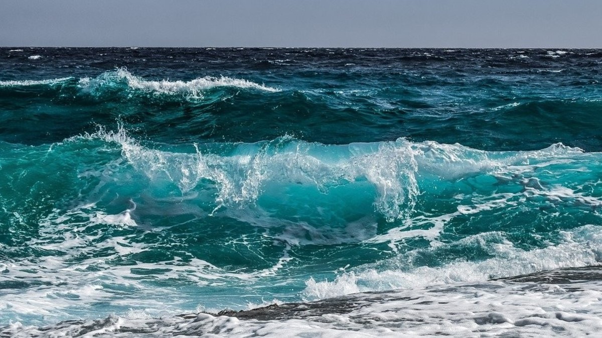 Ученые рассчитывают, что морская вода сможет предотвратить развитие язвы и рака желудка