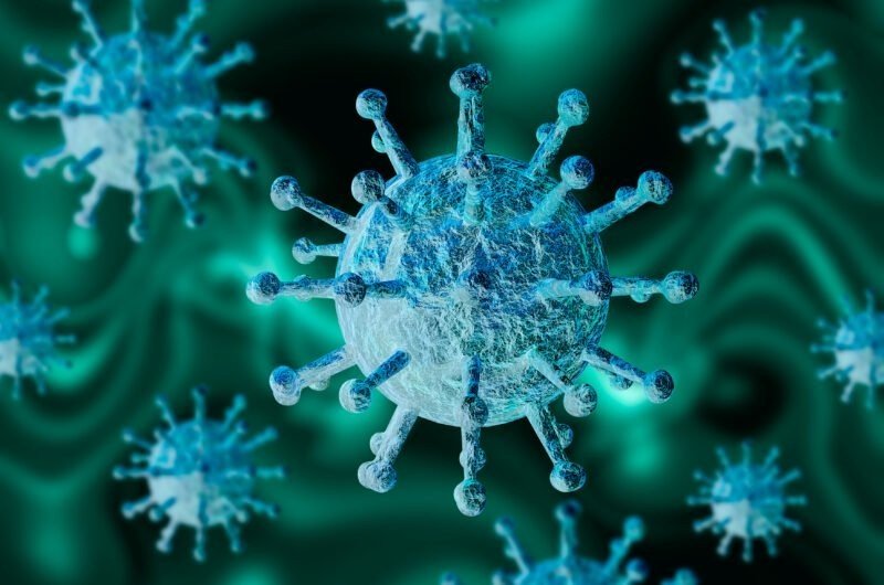 Переболевший обычной простудой может иметь иммунитет к COVID-19 - ученые