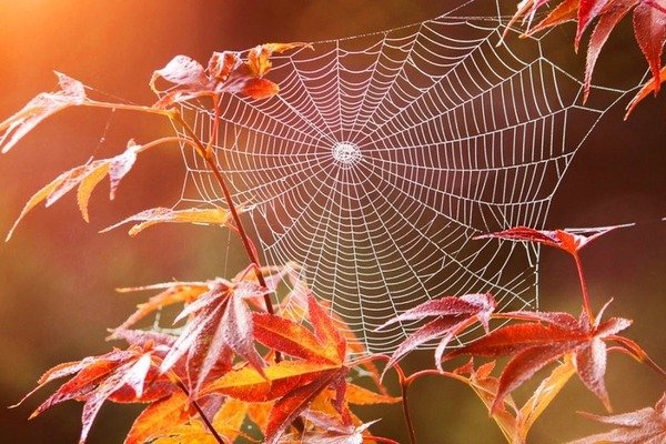 Судьбоносные перемены: названы Зодиаки, которых ждут большие изменения  в сентябре