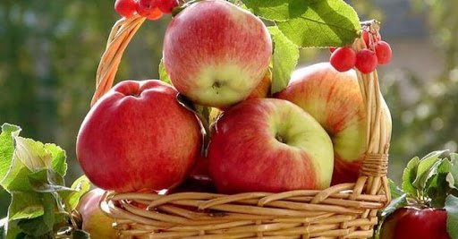 Яблочный Спас: что нужно святить в церкви