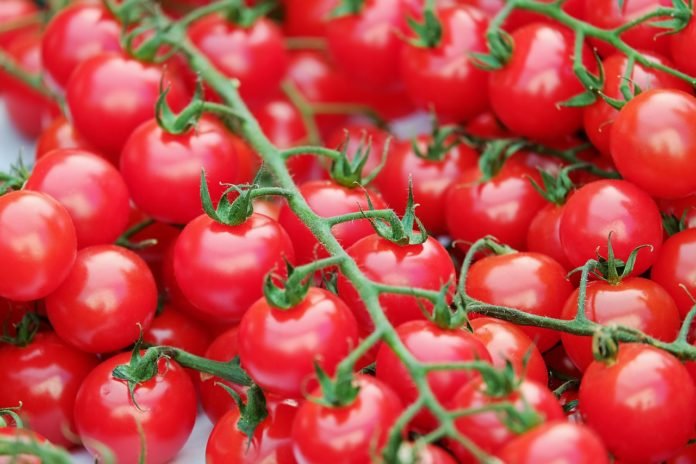 В Украине помидоры стали дешеветь
