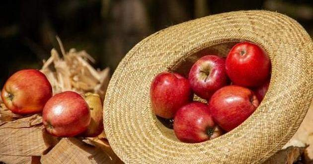 Яблочный спас: что нельзя делать 19 августа
