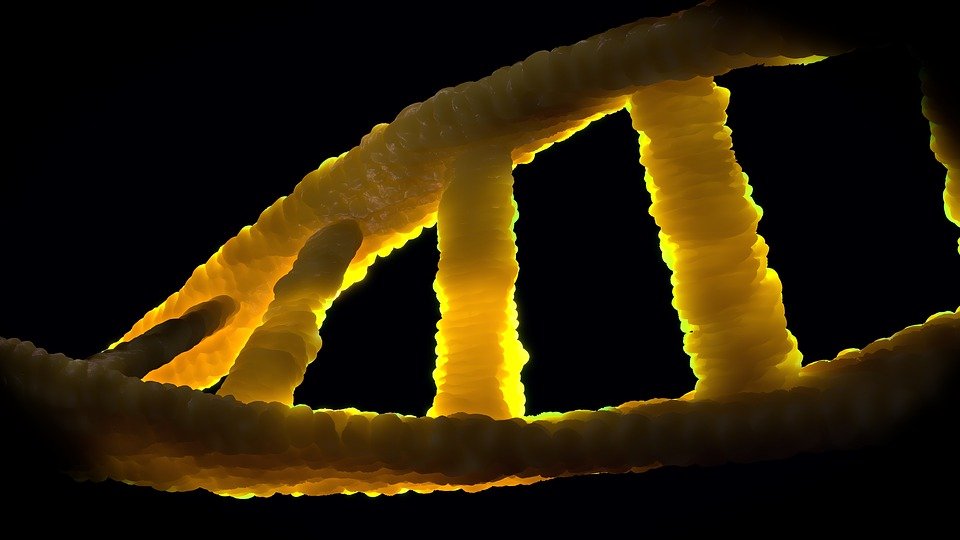 Ученые обнаружили в геноме современного человека чужую ДНК