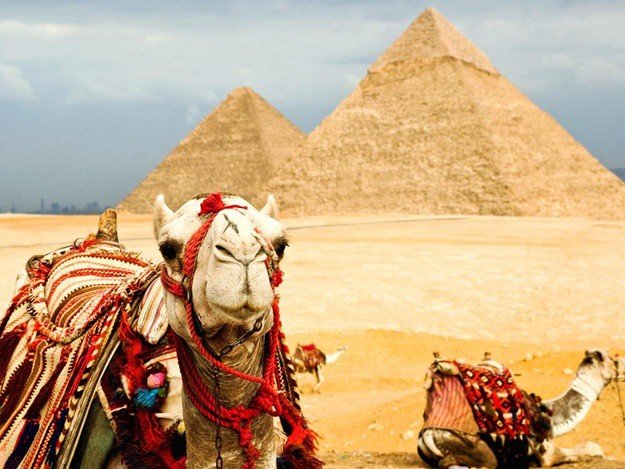 Египет меняет правила для туристов из-за COVID-19