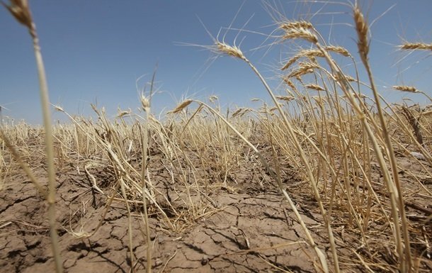 Синоптики наглядно показали масштабы засухи в Украине