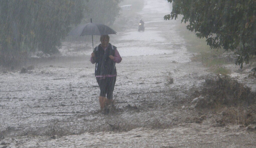 Некоторые области Украины накроют дожди с грозами