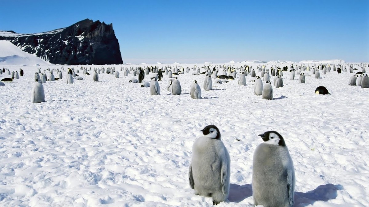 Ученые обнаружили новое самое холодное место на Земле