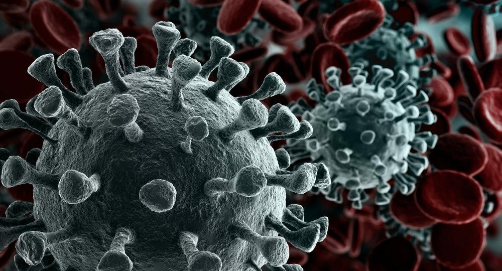 Исследователи поняли, как ведет себя коронавирус в зависимости от времени года