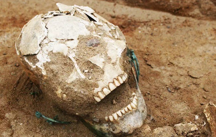 Жуткие находки на тысячелетнем кладбище поразили ученых