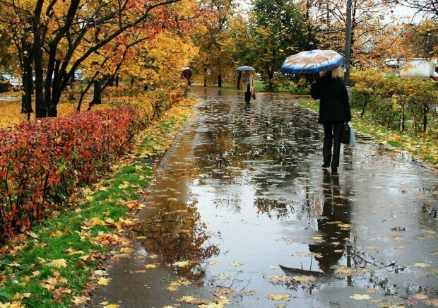 На выходных Украину ждет дождливая и ветреная погода