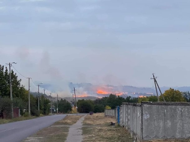 В Донецкой области вспыхнул масштабный лесной пожар