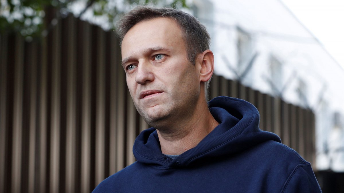 Отравление Навального: в России опровергают выводы немецких экспертов