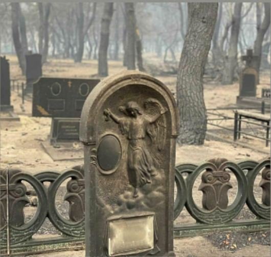 Пожары на Луганщине прошлись по кладбищам: жуткие кадры