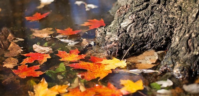 Синоптики озвучили прогноз погоды на неделю