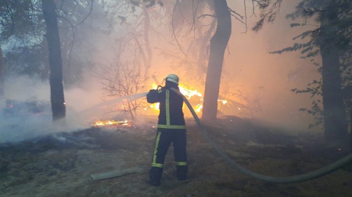 В Луганской области продолжается тушение лесных пожаров