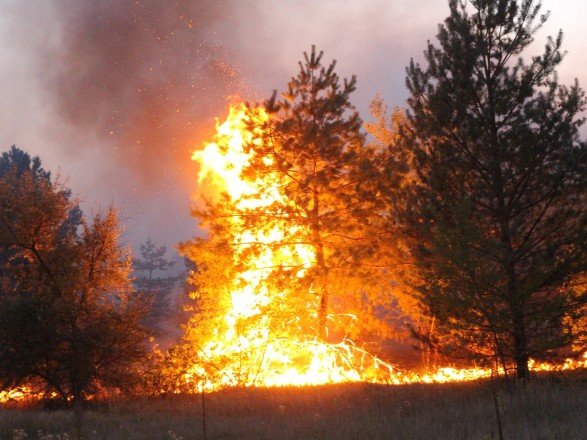 Пожары на Луганщине удалось ликвидировать