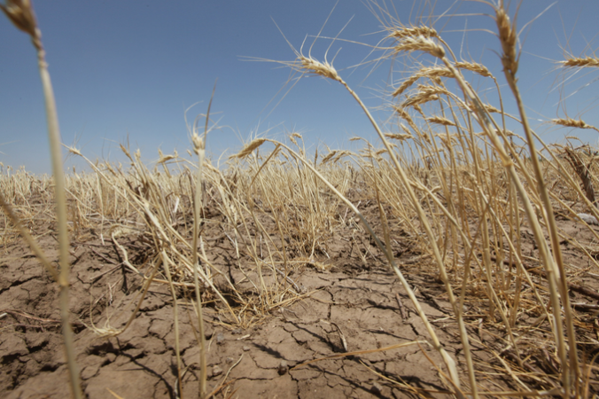 Катастрофическая засуха: синоптик спрогнозировал страшные катаклизмы в Украине