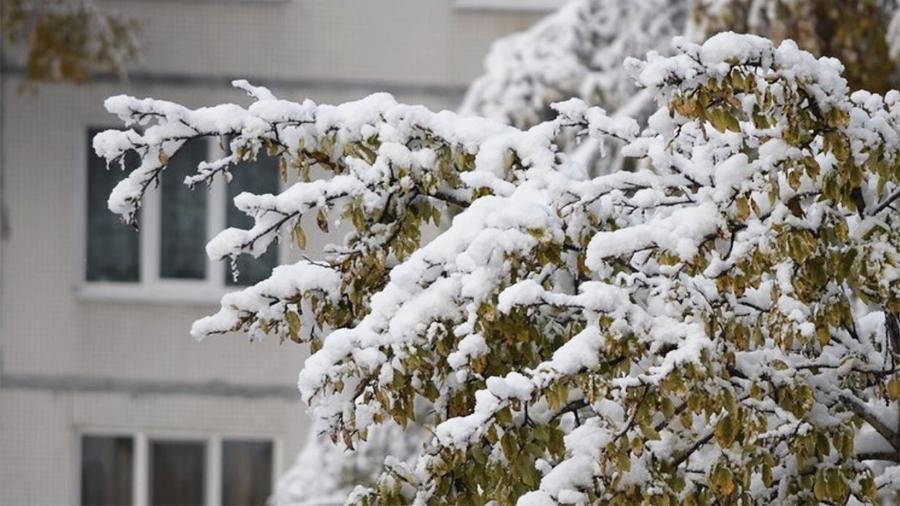 Снег и морозы: синоптики предупредили о резком похолодании