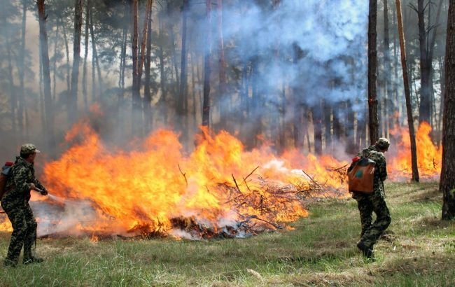 Синоптики объявили чрезвычайный уровень пожарной опасности