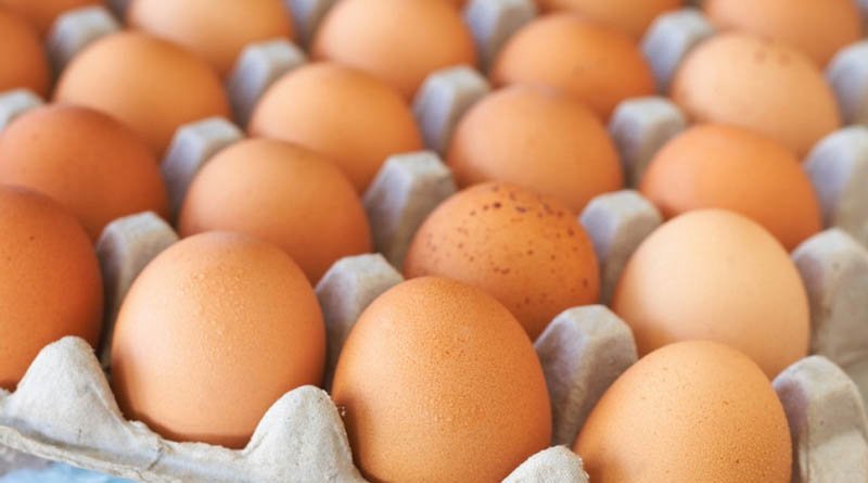 Украинцев предупредили о подорожании яиц и других продуктов питания