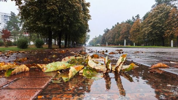 Украину накроют дожди: прогноз синоптиков на сегодня