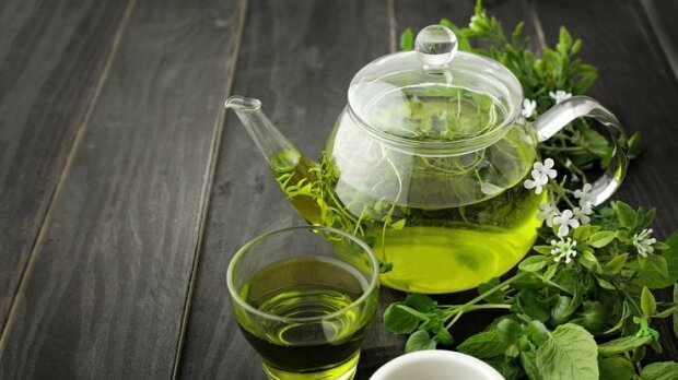 Медики подсказали, какие нарушения в работе организма может спровоцировать зеленый чай