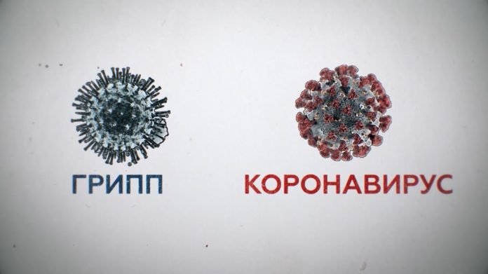 Грипп и коронавирус: чем на самом деле отличаются недуги