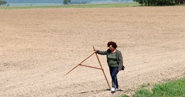 Зеленский выделил 2 млн га земель: кто может получить гектары бесплатно