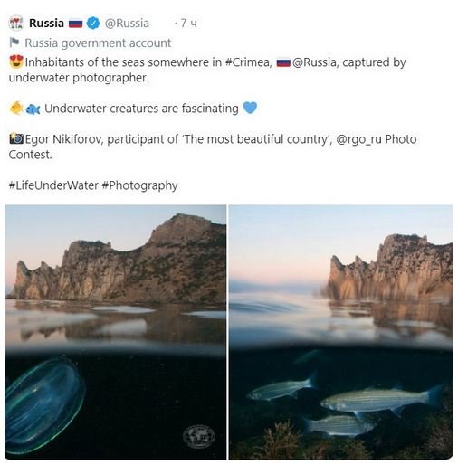 Twitter, Россия