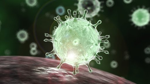 В Норвегии обнаружена ранее неизвестная мутация коронавируса