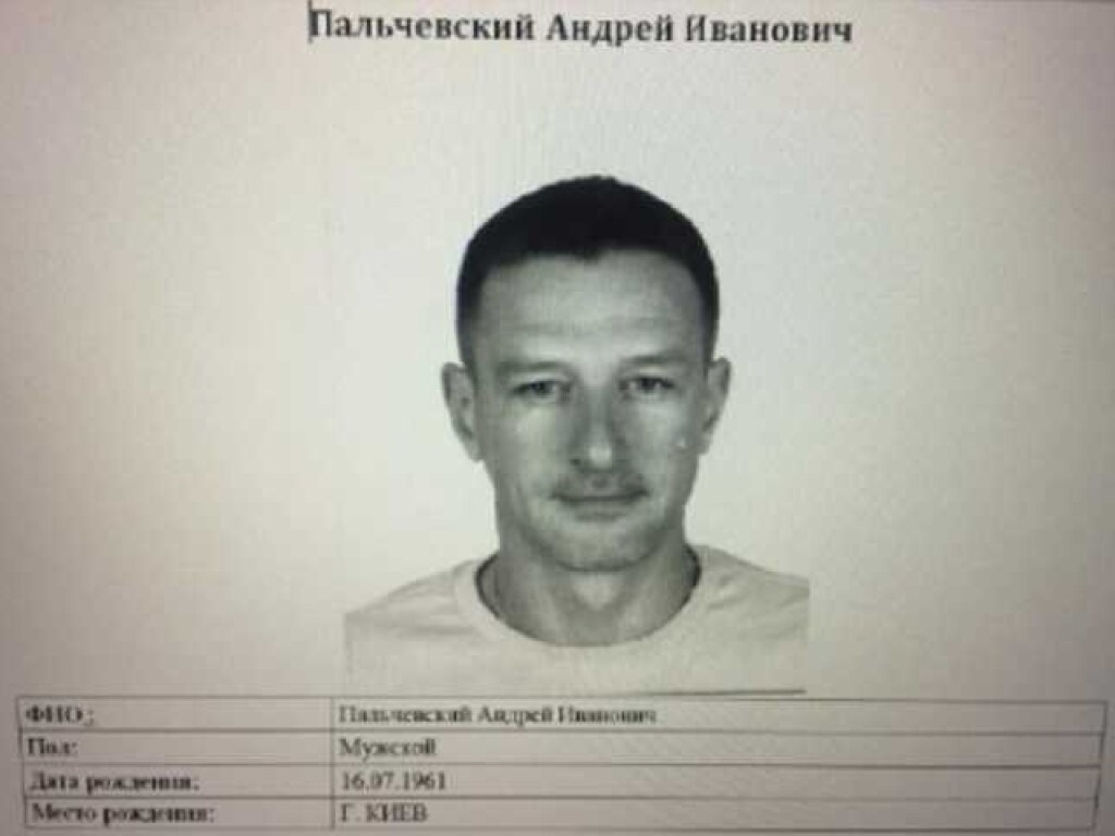 В сеть выложили документы, подтверждающие наличие российских паспортов у Андрея Пальчевского
