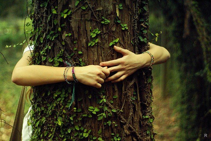 С какими деревьями нужно «обниматься» для благополучия в семье
