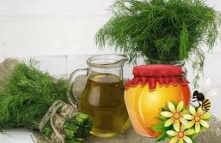 Кріп, мед та валеріана: рецепт для очищення судин в домашніх умовах