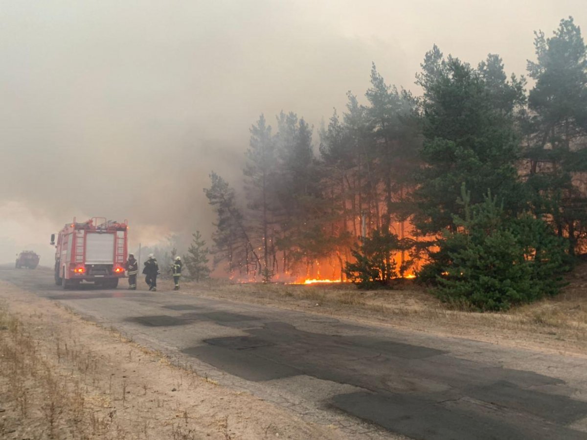 У Зеленского прокомментировали пожары в Луганской области