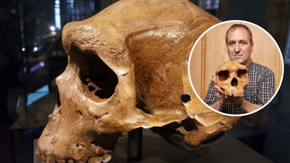 В Замбии нашли череп возрастом 300 тысяч лет с "огнестрельным ранением"